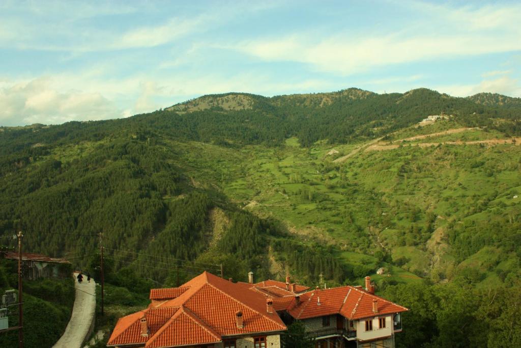 Archontiko Metsovou Luxury Boutique Hotel Camera foto