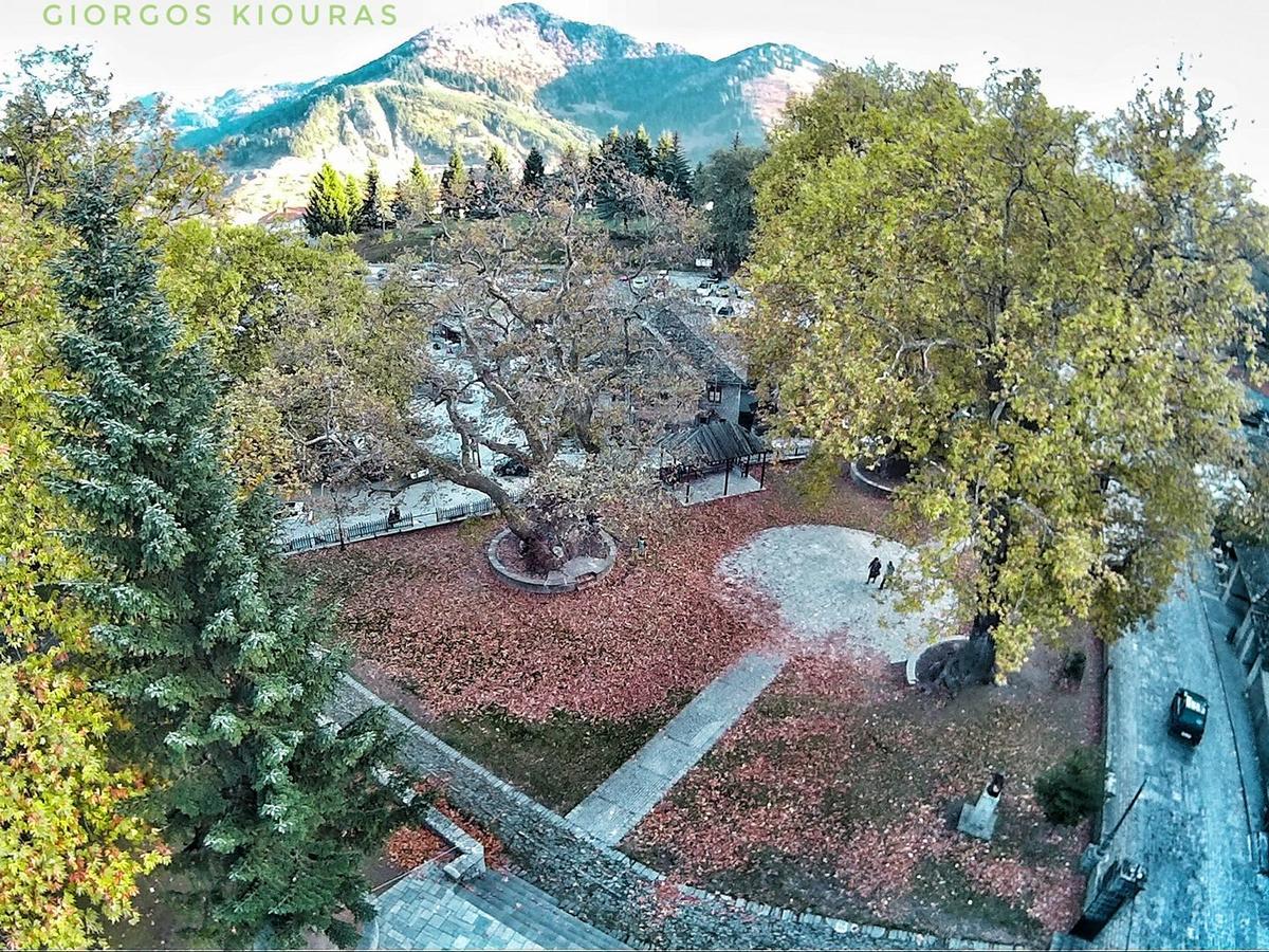 Archontiko Metsovou Luxury Boutique Hotel Esterno foto